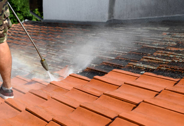 Best Residential Pressure Washing Services  in Hamilton, GA