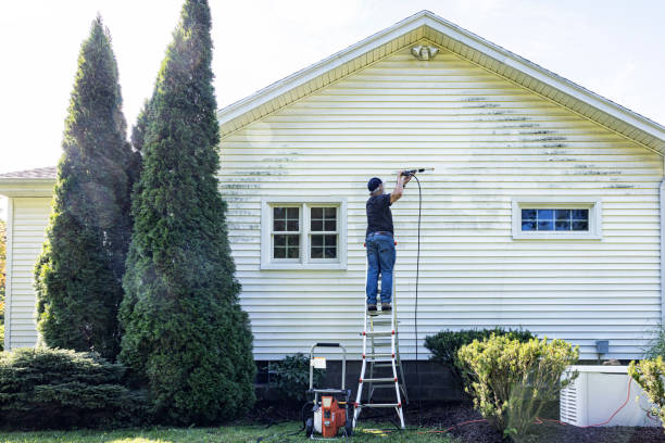 Why Choose Our Certified Pressure Washing Experts for Your Project Needs in Hamilton, GA?